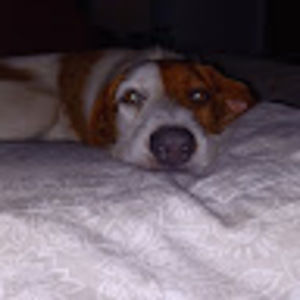 Meet your Posher, Ronelle